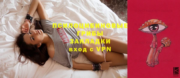 твердый Белоозёрский
