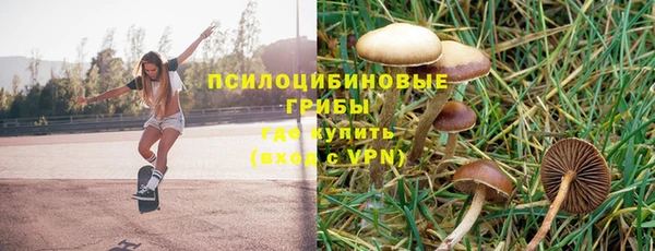 твердый Белоозёрский